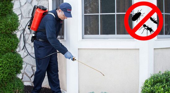 Yenifoça Tahtakurusu İlaçlama böcek ilaçlama ve haşere kontrolü — ilaclama-tr.com